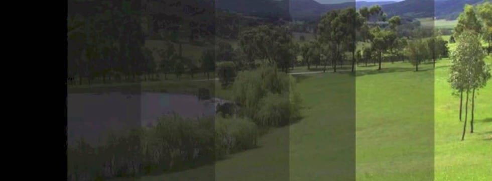 Comparison of several architectural window tint levels