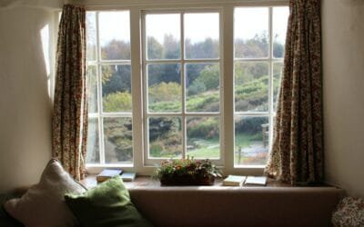Why Should You Replace Your Windows?