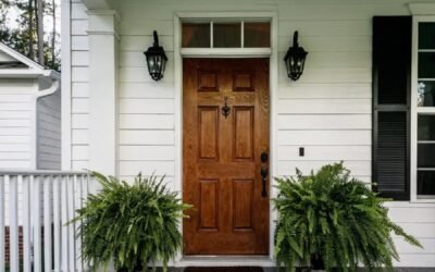 Ideas for Front Doors to Upgrade Your Entrance