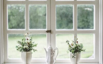 Window Replacement vs. Glass Replacement